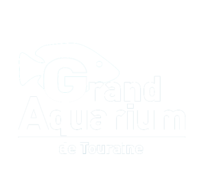 Logo blanc Grand Aquarium de Touraine