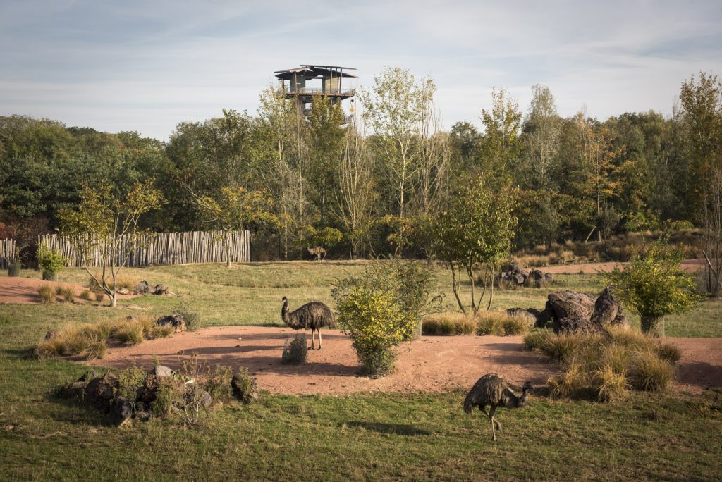 Bush Australien du parc des oiseaux