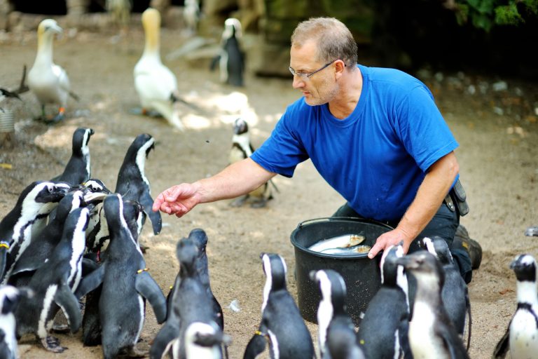 Soigneur animalier